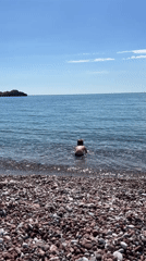 Tourist captures multiple views of Sveti Stefan coastline