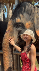 Woman pets elephant at Thai tourist location