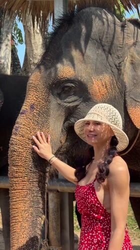 Woman pets elephant at Thai tourist location