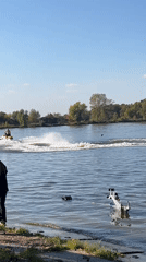 Jet skiing on a calm Russian lake with a quiet shoreline