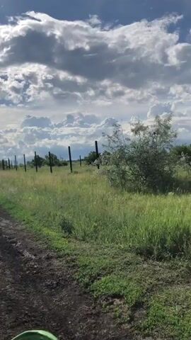 The video begins by showing a dirt road beside a grassy field with a fence line of vertical posts. The camera then pans up to show a person wearing a black helmet with red accents, looking up at the sky. The sun is visible, partially obscured by clouds. The camera then continues to pan across a grassy hill under a cloudy sky, and then focuses on the sun again. Finally, the video shows a closer view of the grassy field with the fence posts and a distant line of trees and buildings. The overall scene is an outdoor environment with elements of nature and a partially constructed fence.