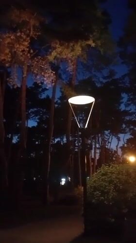 Evening beers on a lamplit Moscow park path