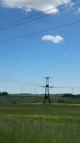 The video shows a bright, sunny day in a rural landscape. A wide, open field with green grass and some yellow wildflowers stretches across the foreground. In the middle distance, several large wind turbines stand tall against a clear blue sky with a few wispy clouds. Power lines and a green metal power transmission tower are visible in the foreground, indicating an industrial element within the natural setting. The camera moves, revealing more of the field and then focusing on the wind turbines.