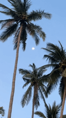 Peaceful morning beach scenes documented in Baan Pang Ka