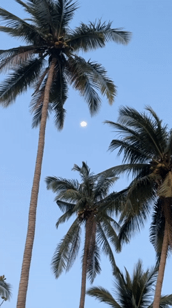 Peaceful morning beach scenes documented in Baan Pang Ka