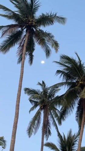 Peaceful morning beach scenes documented in Baan Pang Ka