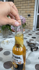 Beer with lime prepared on outdoor patio in Kamyshin