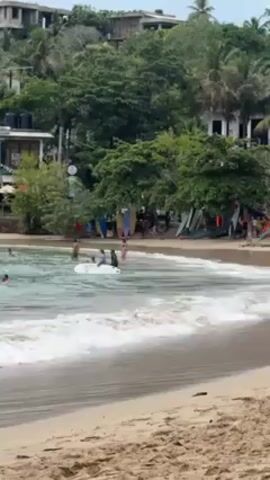 The scene captures a beach with a gentle surf lapping at the shoreline. Several people are in the water, some on a white surfboard, while others are standing or walking in the shallows. The beach is sandy and slopes upwards towards a line of trees. Surfboards are leaning against the trees near a building or establishment, possibly a surf shop or beachside cafe. The background includes houses and buildings on a hill, blending into the lush green foliage. The day appears bright, with sunlight reflecting off the water and sand.