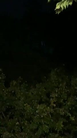 The video is a night-time recording of the moon shining brightly in a dark sky. The moon is partially obscured by clouds, which create a hazy effect around it. In the foreground, there are trees and foliage, which are dark and indistinct due to the low light conditions. The video is shaky, suggesting it was handheld.