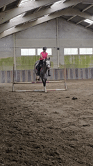 Equestrian activities documented across indoor and outdoor venues in Estaimpuis