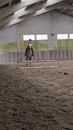 Equestrian activities documented across indoor and outdoor venues in Estaimpuis