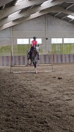 Equestrian activities documented across indoor and outdoor venues in Estaimpuis