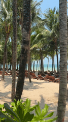 Tourist enjoys beach day with local cuisine in Phú Quốc