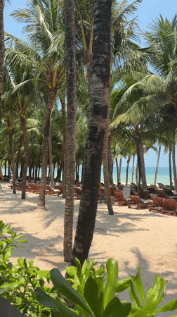 Tourist enjoys beach day with local cuisine in Phú Quốc