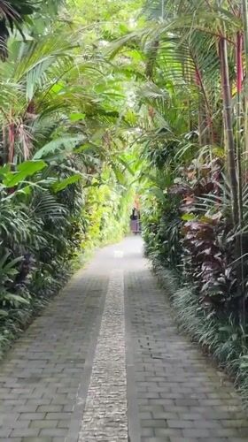 Lush Ubud café with stone garden paths and siphon coffee