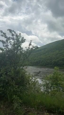 The video captures a static, eye-level shot of a serene lake nestled against a backdrop of a tree-covered mountain under a cloudy sky. The lake's surface is dotted with lily pads. The foreground features tall grass and shrubs, partly obscuring the view of the water. A few sparse trees stand to the side, their branches swaying gently in the breeze. In the distance, a glimpse of buildings is visible at the base of the mountain. The cloudy sky creates an overcast atmosphere.