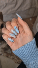 Butterfly nail art and Yorkshire Terrier documented in Pavlikeni