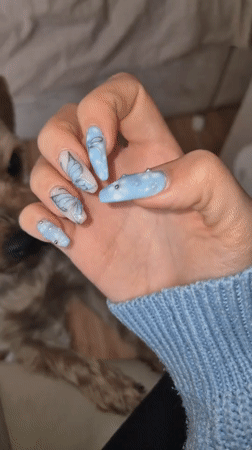 Butterfly nail art and Yorkshire Terrier documented in Pavlikeni