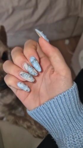 Butterfly nail art and Yorkshire Terrier documented in Pavlikeni