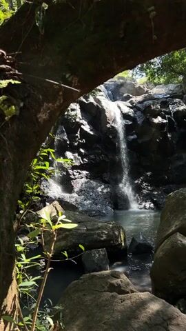 A vertical, low-angle shot captures a waterfall cascading down a rocky cliff face. Sunlight streams through the trees, illuminating the water and the surrounding rocks. Lush green foliage frames the scene on the left and in the foreground, with large, moss-covered boulders scattered around the base of the waterfall. The water collects in a dark pool at the bottom, with ripples visible from the falling water. The overall impression is one of a serene and natural environment.