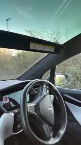 The video shows the interior of a Tesla, likely a Model X, from the driver's perspective. The steering wheel and dashboard are visible, with a large touchscreen display in the center. Outside, the car appears to be driving on a dirt road surrounded by trees and scrub, under a bright sky. Music is playing. The sun visor is lowered partially.