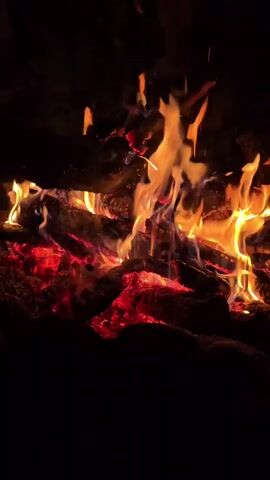 A close-up shot focuses on a campfire at night. Flames in shades of orange, yellow, and blue flicker and dance above glowing red embers. Several logs are visible, some partially consumed by the fire. Smoke rises from the top of the frame. The background is dark and indistinct. A voice is heard speaking in Russian, mentioning a neighbor gifting a blueberry bush.
