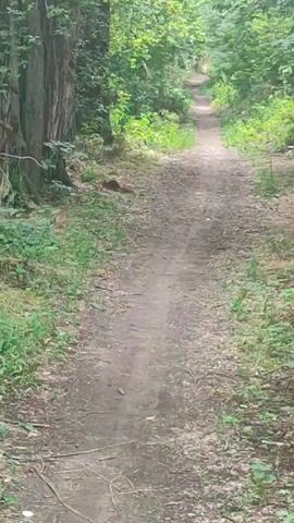 A first-person perspective video shows a dirt path through a forest. Trees and green foliage line both sides of the path. The path is relatively narrow and appears to be well-trodden, with some loose dirt and debris on its surface. The path winds slightly as it moves away from the camera, disappearing into the trees in the distance. The lighting suggests it is daytime, possibly overcast, as there are no harsh shadows. There are no people or animals visible in the frame. The overall impression is a tranquil, natural environment.