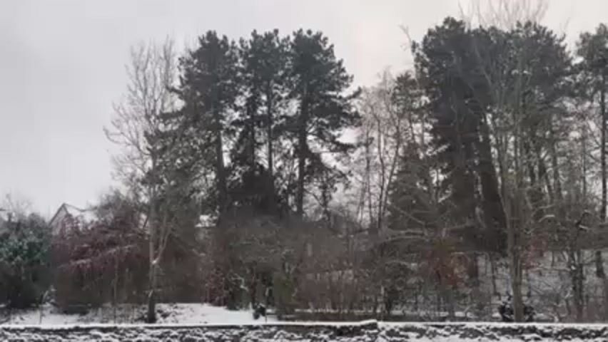 The video shows a winter scene with snow falling lightly. A line of trees of varying types is visible in the middle ground. The ground is covered in snow. A building can be seen in the distance on the left side of the frame.