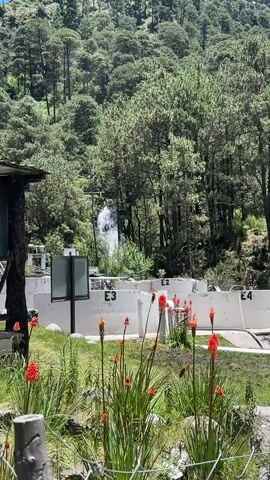 The video shows a mountainous landscape with lush green trees and a clear blue sky. In the foreground, there are red flowers and a wire fence. Behind the flowers, there are several white structures with numbers on them, possibly indicating different sections or areas. A waterfall is visible cascading down a rocky slope in the midground. The overall scene suggests a natural environment with some man-made structures integrated into it.