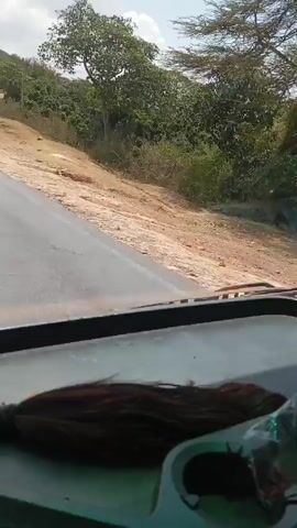 The video is taken from inside a vehicle driving along a paved road lined with sparse vegetation and trees. The road has some damage visible in the form of cracks and patches. The sky is partly cloudy. In the foreground, within the vehicle's cabin, there is a blue towel, a package of dark hair extensions, and a black cup holder on the dashboard. A large truck passes in the opposite direction. The dialogue in the background is in a different language, and the content isn't decipherable without translation.