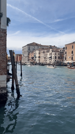 Tourists capture Grand Canal views and Venice cultural sites