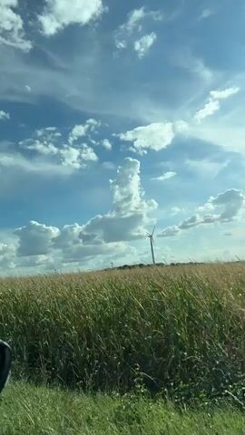The video shows a view from inside a vehicle looking out at a rural landscape. In the foreground, the side mirror and a portion of the car's interior are visible on the left side of the frame. A field of tall, green and tan vegetation, likely crops such as corn or wheat, occupies the middle ground. In the background, a single wind turbine stands against a bright blue sky filled with scattered white clouds. The clouds are varied in shape and density, with some appearing more defined and others wispy. The lighting suggests it is daytime, possibly late afternoon or early evening, due to the angle of the sun and the illumination of the clouds.