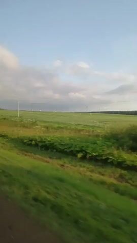 The video shows a view from a moving vehicle, likely a car, looking out over a vast, green field under a bright blue sky with scattered clouds. The field is covered in grass and some scattered white wildflowers. There are several utility poles visible in the distance, stretching across the landscape. The perspective suggests the vehicle is traveling along a dirt or gravel road bordering the field. The sun appears to be low in the sky, casting a warm light on the scene. There are no people or animals visible in the video. The overall impression is one of a rural, open landscape.