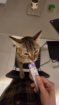 Sunset observed over Ramat Gan construction site from balcony
