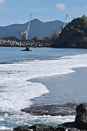 Coastal scene documented at Naga Umbang, Indonesia shoreline