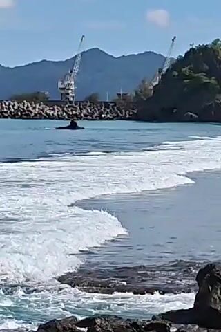 The video shows a coastal scene. Waves are breaking on a shore lined with dark rocks. In the distance, there's a small, green, rocky island with a few palm trees. Behind the island, mountains rise in the background under a blue sky with some clouds. Closer to the left side of the frame, there are two large cranes, possibly in a harbor. The camera pans right, revealing a coastline with buildings, trees, and a cell tower.