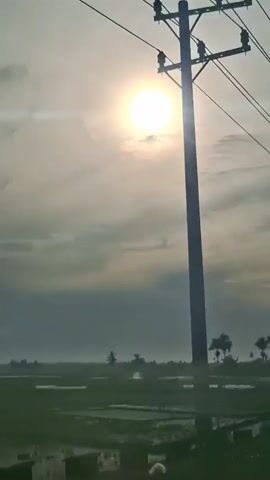 The video shows a wide outdoor shot of a rural landscape at sunrise or sunset. The sun is visible in the sky, partially obscured by clouds, and it emits a bright glare. In the foreground, there are power lines stretching across the frame. Below the sky and power lines, there is a flat expanse of green fields, some of which appear to be flooded or contain standing water. Scattered throughout the fields are several tall, slender trees, some of which resemble palm trees. In the far distance, there are hints of other vegetation or structures, and the landscape appears somewhat hazy. The overall impression is one of a tranquil, natural environment.