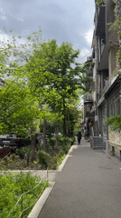 Morning moments captured across Yerevan shops, streets, cafes