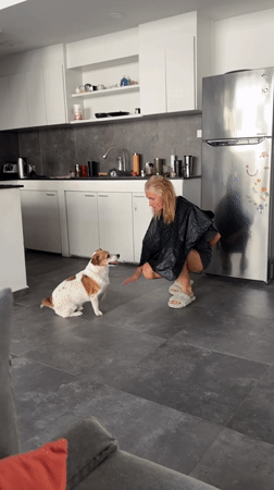 Woman plays with brown-white dog in Thai home
