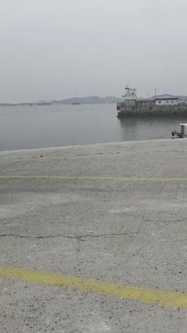 The video shows a ferry loading vehicles. The ferry is white with a ramp at the front. Several cars are visible on the ramp, and people are directing them. The ferry is docked at a pier, and the water is calm. The sky is overcast.