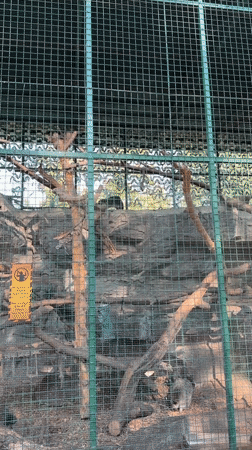 Afternoon tour through Kyiv Zoo's animal enclosures