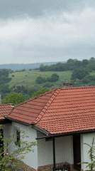 Rural Bulgaria morning: landscape views and pet portrait captured