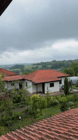 Rural Bulgaria morning: landscape views and pet portrait captured