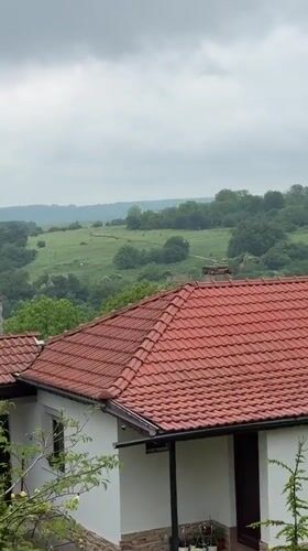 Rural Bulgaria morning: landscape views and pet portrait captured