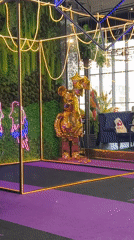Golden bear display with star balloons spotted in Krasnodar