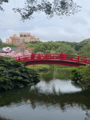 Tranquil park pond with red bridge captured in Nanshan District
