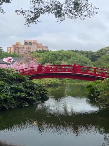 Tranquil park pond with red bridge captured in Nanshan District