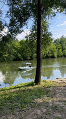 Small canopied boat glides through a lush green Russian waterway