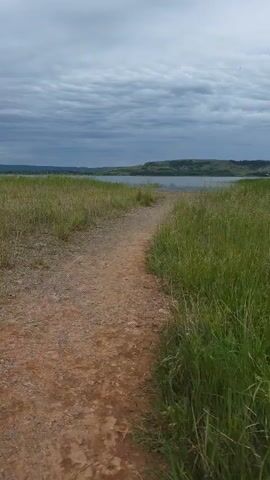 A dirt path leads through a grassy field towards a body of water. The sky is overcast with clouds.