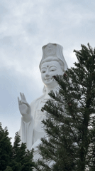 Religious statues documented at Vietnam temple complex